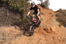 Load image into Gallery viewer, Splach Stark