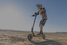 Load image into Gallery viewer, Splach Phoenix