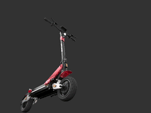 Load image into Gallery viewer, Splach Phoenix